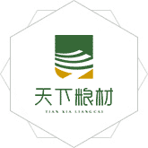 操屄网站在线观看